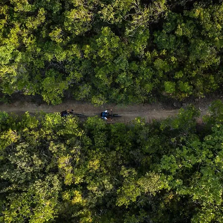 Apartmanhotel With Swimming Pool Immersed In The Typical Tuscan Countryside Just 5 Minutes From Massa Marittima Podere Pian Mucini